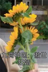 九霄神医：傲世狂婿