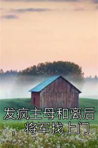 发疯主母和离后，将军找上门