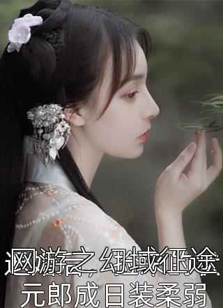 网游之幻域征途