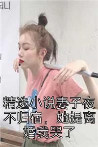 精选小说妻子夜不归宿，她提离婚我哭了